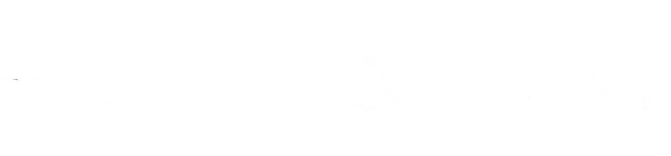 Top Country Logo